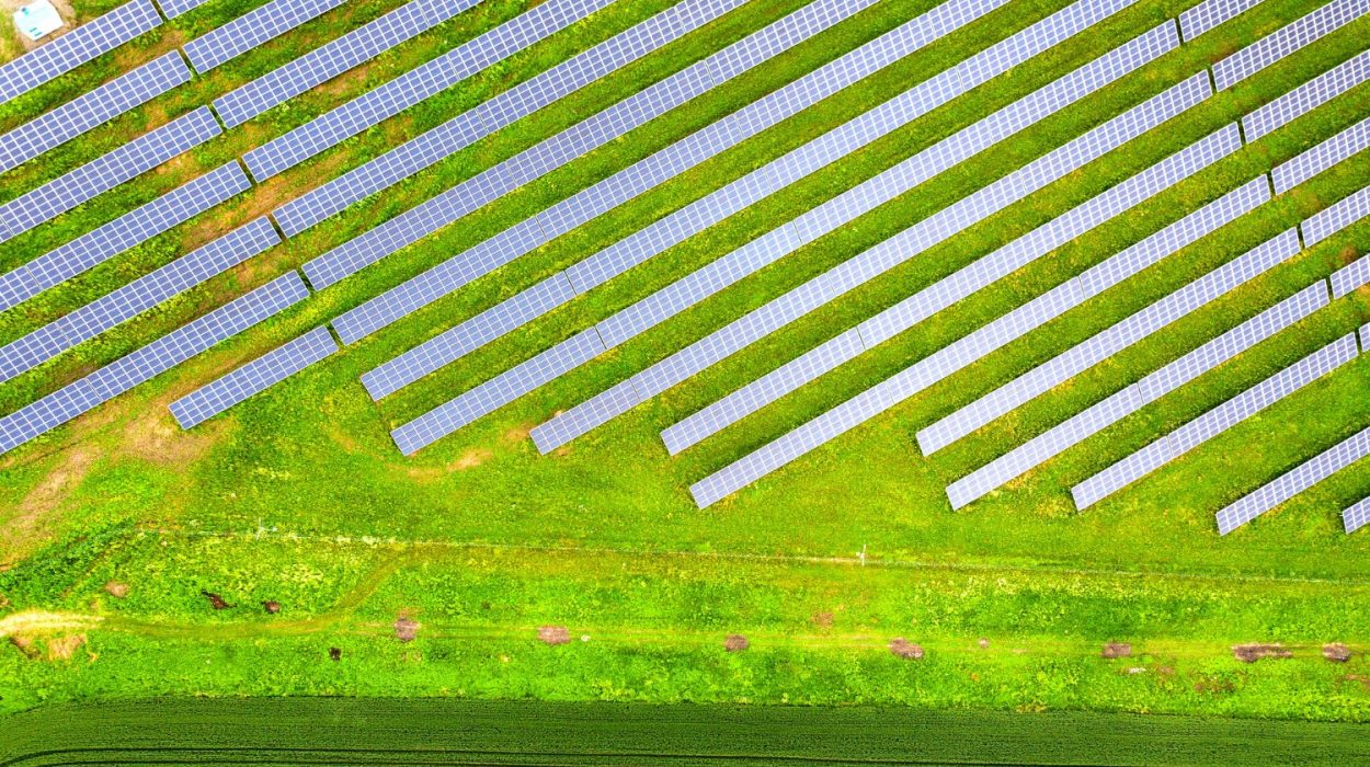 Na zdjęciu farma fotowoltaiczna 1 MW. Zysk może byćspory!