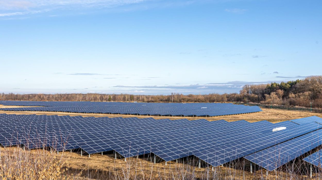 Farma fotowoltaiczna 50 kw zysk. Na zdjęciu panele fotowoltaiczne.
