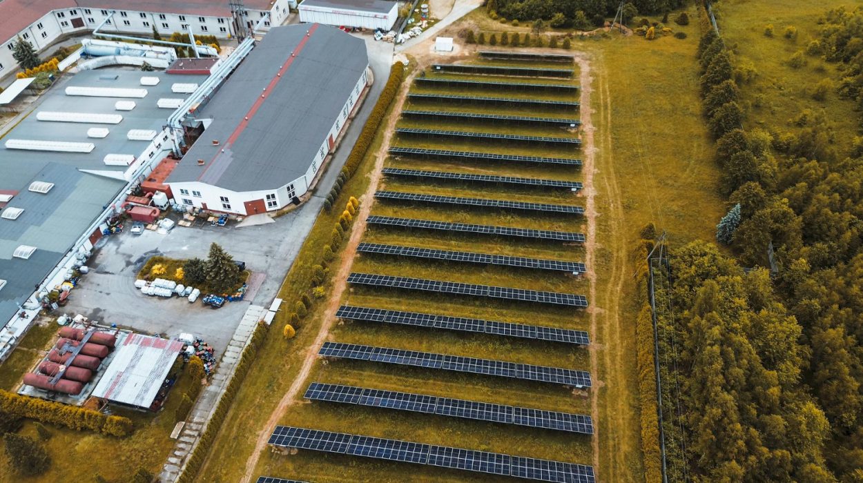 Co jest potrzebne, gdy budowana jest farma fotowoltaiczna? Zgoda sąsiada jest potrzebna? Na zdjęciu farma obok zabudowań.