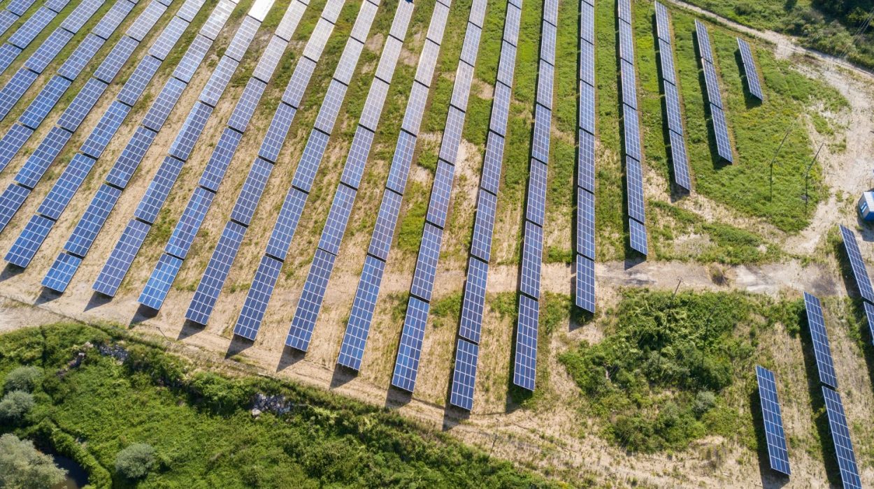 Ile jest farm fotowoltaicznych w Polsce? Tysiące! Na zdjęciu jedna z takich farm.