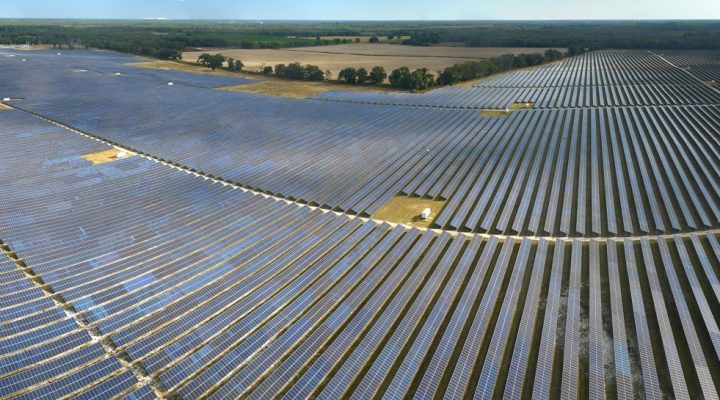 Ile wynosi podatek od farmy fotowoltaicznej? Sprawdź! Na zdjęciu ogromna farma fotowoltaiczna.