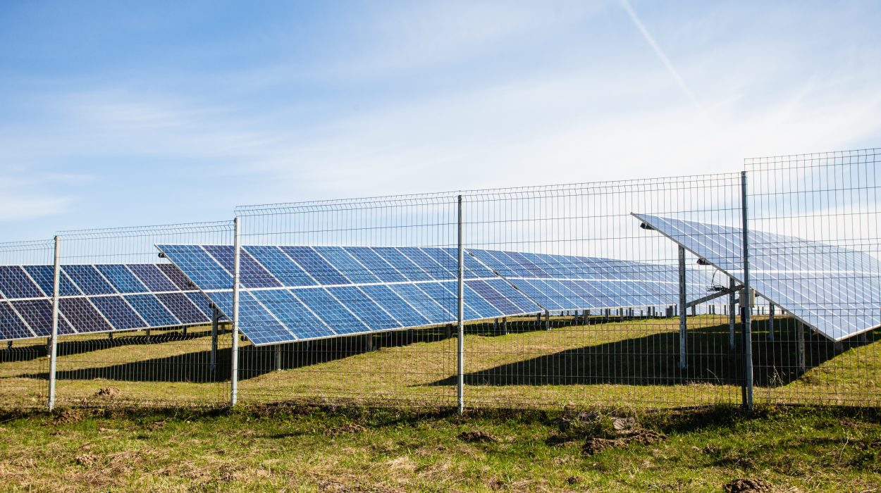 Jak otrzymać udziały w farmie fotowoltaicznej? Na zdjęciu farma fotowoltaiczna.