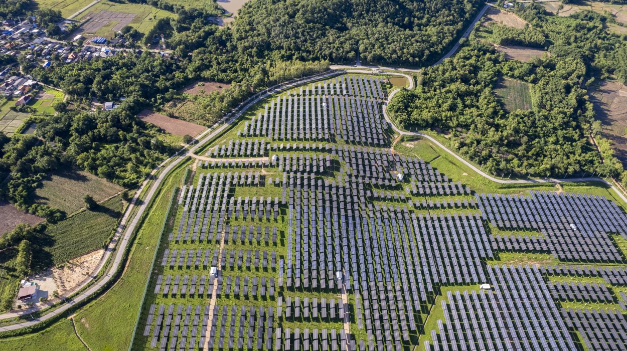 Zlece koszenie farmy fotowoltaicznej – jak to zrobić?